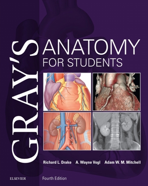 PDF کتاب Gray's Anatomy for Students, 4th Edition