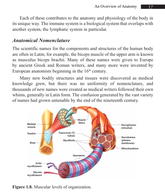 دانلود PDF کتاب Introduction to Anatomy – Bhatt & Ingole (ویرایش 2023)