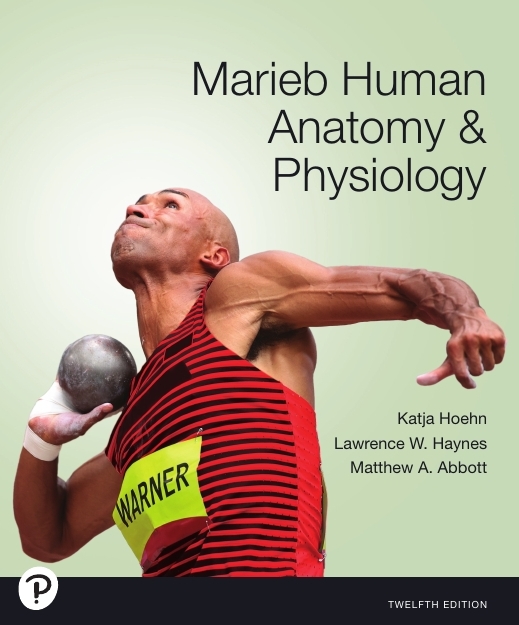 دانلود Human Anatomy & Physiology (12th Edition, 2025) – By Hoehn & Marieb
