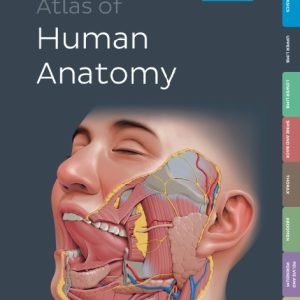 دانلود PDF کتاب Kenhub Atlas of Human Anatomy 2023 - راهنمای کامل آناتومی انسان