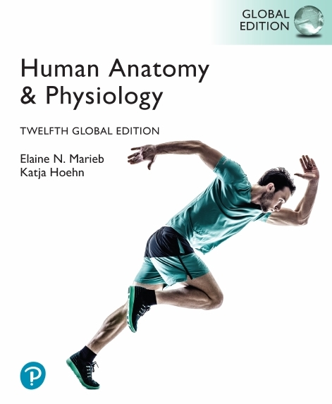 دانلود Human Anatomy & Physiology (Global Edition, 12th Edition, 2023) – By Marieb
