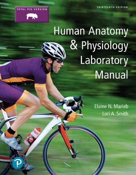دانلود Human Anatomy & Physiology Lab Manual (13th Edition, 2019) – By Marieb