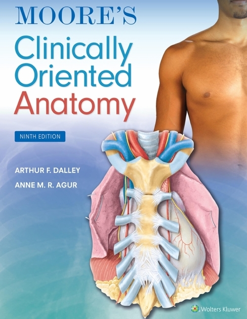 دانلود PDF کتاب Moore Clinically Oriented Anatomy Dalley 9ed 2023 - ویرایش نهم