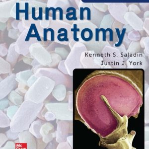 دانلود PDF کتاب Human Anatomy 2024 اثر Kenneth Saladin