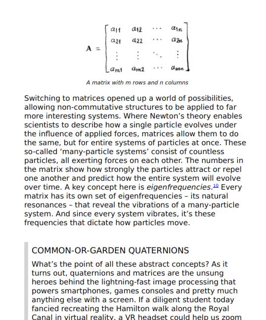 Verstraete F. Why Nobody Understands Quantum Physics 2025