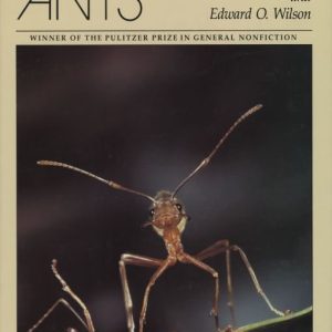 دانلود کتاب The Ants - نسخه EPUB