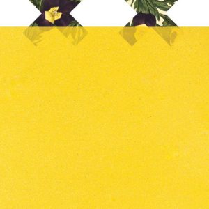 دانلود کتاب Killing Stella - فرمت EPUB
